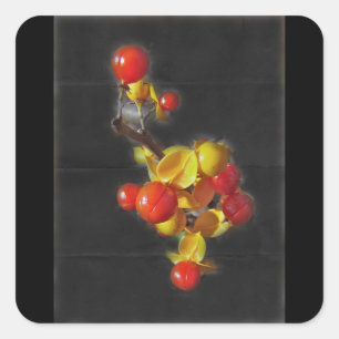 Adesivo Quadrado Bagas agridoces - beleza do outono