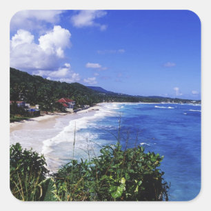 Adesivo Quadrado Baía Longa, Port Antonio, Jamaica