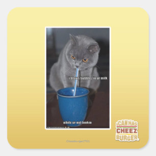 Adesivo Quadrado Balas de Balas no nosso leite