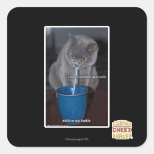 Adesivo Quadrado Balas de Balas no nosso leite