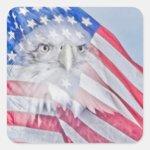 Adesivo Quadrado Bald Eagle Head e American Flag