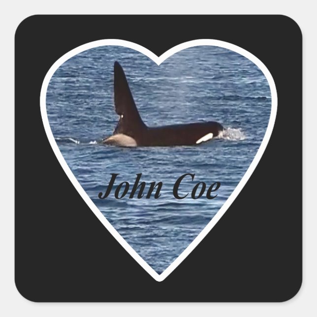 Adesivo Quadrado Baleia Assassina de John Coe Orca (Frente)