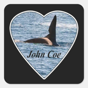 Adesivo Quadrado Baleia Assassina Orca John Coe Personalizável