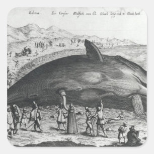 Adesivo Quadrado Baleia inoperante