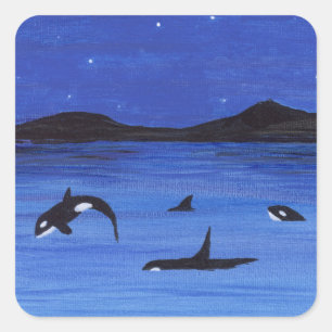 Adesivo Quadrado Baleias Assassinas