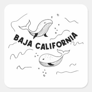Adesivo Quadrado Baleias da Baja Califórnia