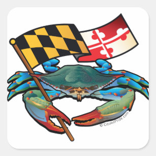 Adesivo Quadrado Bandeira Blue Crab Maryland