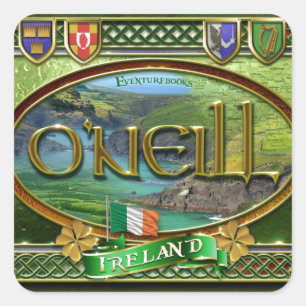 Adesivo Quadrado Bandeira da família de O'Neill