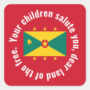 Adesivo Quadrado Bandeira da Guiana Hino Nacional Vermelho Verde Am