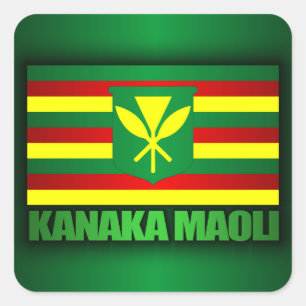 Adesivo Quadrado Bandeira de Kanaka Maoli