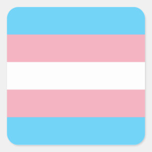 Adesivo Quadrado Bandeira do orgulho do Transgender