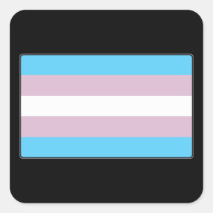 Adesivo Quadrado Bandeira do orgulho do Transgender