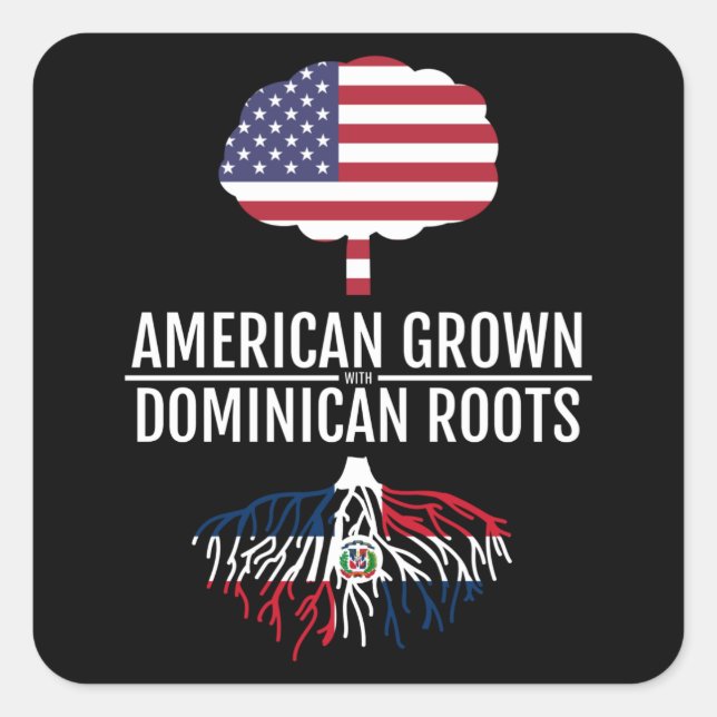 Adesivo Quadrado Bandeira Nacional Americana de Raízes Dominicanas  (Frente)