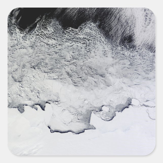 Adesivo Quadrado Banzare, Sabrina e Costas, Antártica (Frente)