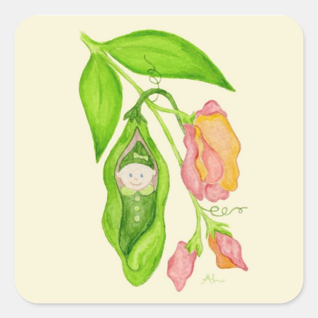 Adesivo Quadrado Baquetas de bebê doce de ervilha (Frente)