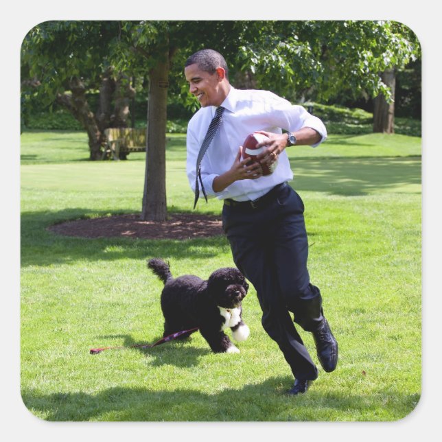Adesivo Quadrado Barack e Bo Obama (Frente)