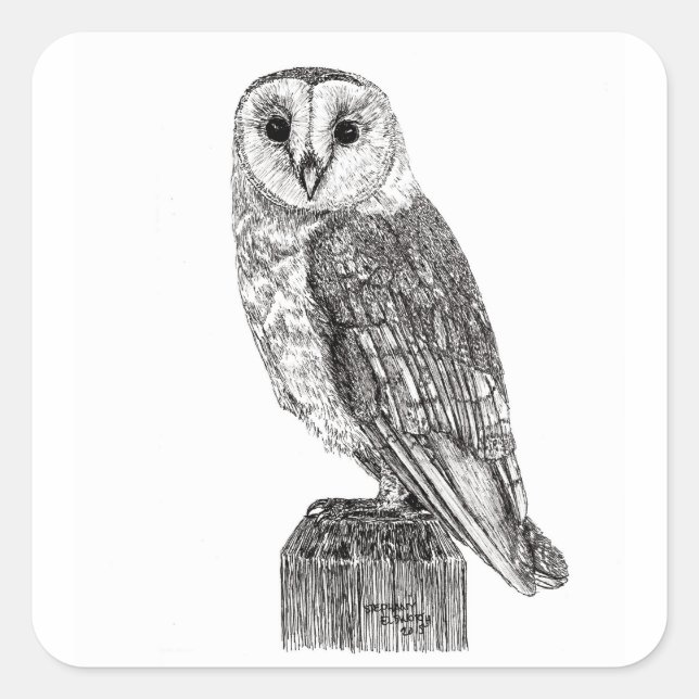 Adesivo Quadrado Barn Owl 2 Stickers (Frente)