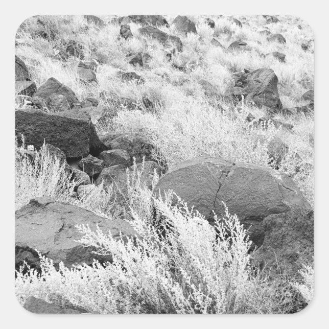Adesivo Quadrado Basalt Lava Rocks Southwest Black and White Photo (Frente)