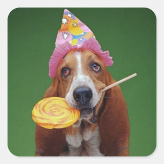 Adesivo Quadrado Basset Hound Birthday