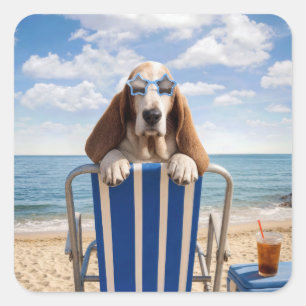 Adesivo Quadrado Basset Hound na Cadeira de Praia