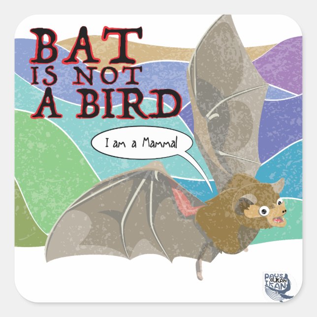 Adesivo Quadrado Bat não é um pássaro (Frente)