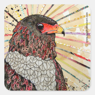 Adesivo Quadrado Bateleur Eagle
