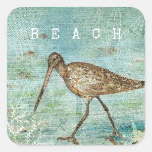 Adesivo Quadrado Beach Shorebird