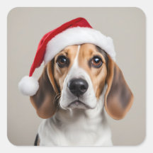 Beagle Christmas
