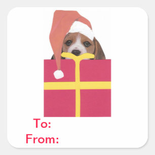 Adesivo Quadrado Beagle Santa Hat Dagt Sticker