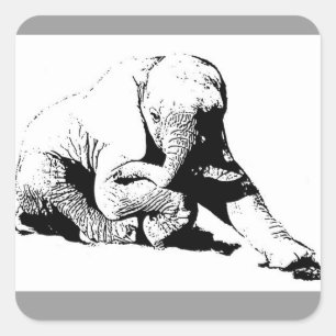 Adesivo Quadrado Bebê Elefante