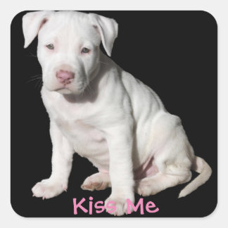 Adesivo Quadrado Bebê White Pitbull