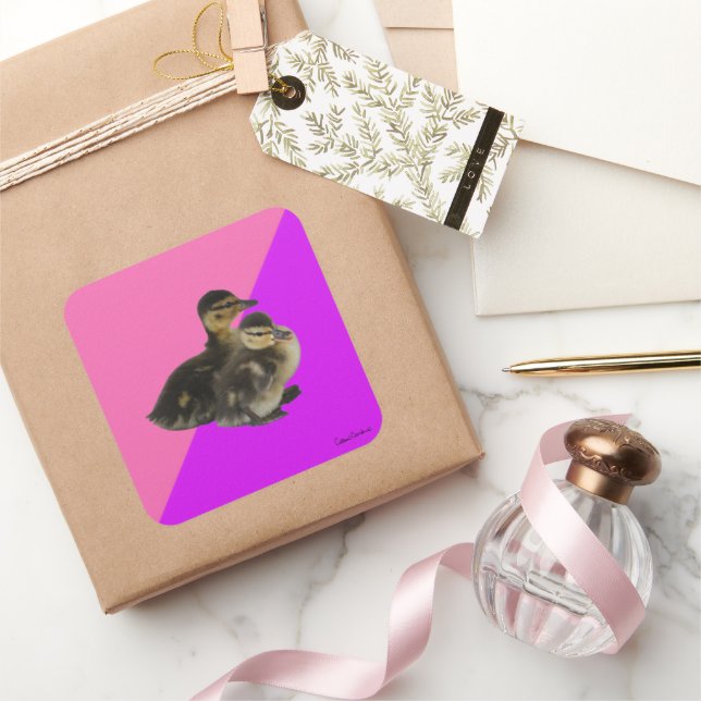 Adesivo Quadrado Bebês com framboesa rosa e sorvete púrpura (Presentear)