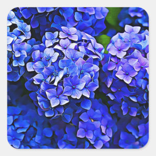 Adesivo Quadrado Bela Flores Azuis Hydrangea