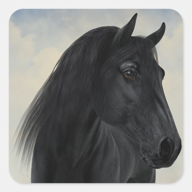 Adesivo Quadrado Beleza Negra - Retrato de Cavalo Frísia Negra (Frente)