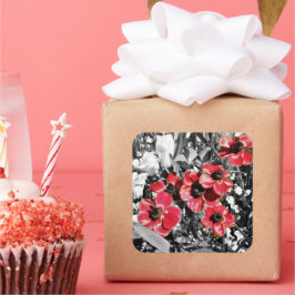 Adesivo Quadrado Beleza Seletiva - Flores Anêmonas