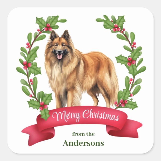 Adesivo Quadrado Belga Tervuren Dog Holly Banner Natal (Frente)