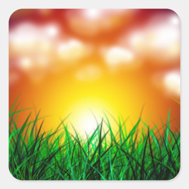 Adesivo Quadrado Belo nascer do sol sobre um campo de grama (Frente)