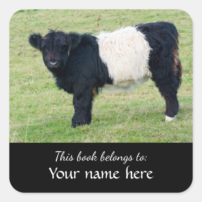 Adesivo Quadrado Belted Galloway Calf "Este livro pertence a..." Sq (Frente)