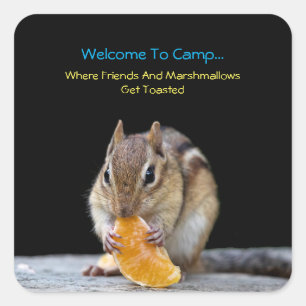 Adesivo Quadrado Bem-Vindo Ao Campo