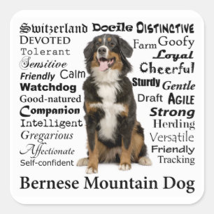 Adesivo Quadrado Berner Traits Stickers