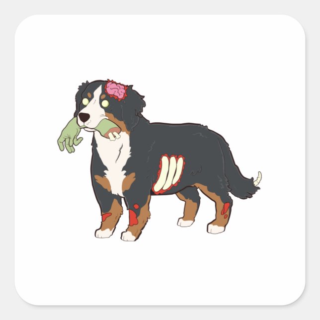 Adesivo Quadrado Bernese Mountain Dog Zombie Halloween (Frente)
