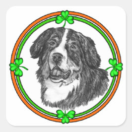 Adesivo Quadrado Bernese Mtn Dog St Patricks