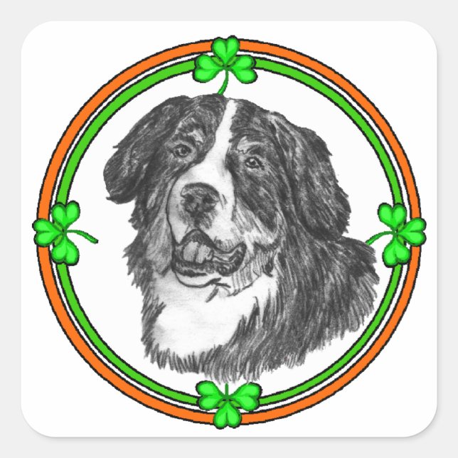 Adesivo Quadrado Bernese Mtn Dog St Patricks (Frente)