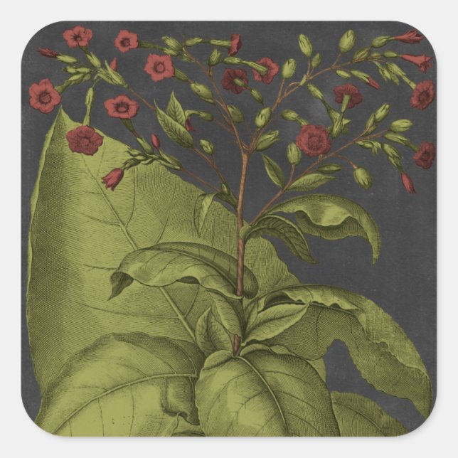 Adesivo Quadrado Besler Dramatique I (Frente)