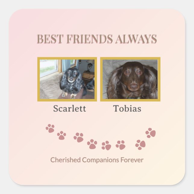 Adesivo Quadrado Best Friends Pawprint (Frente)