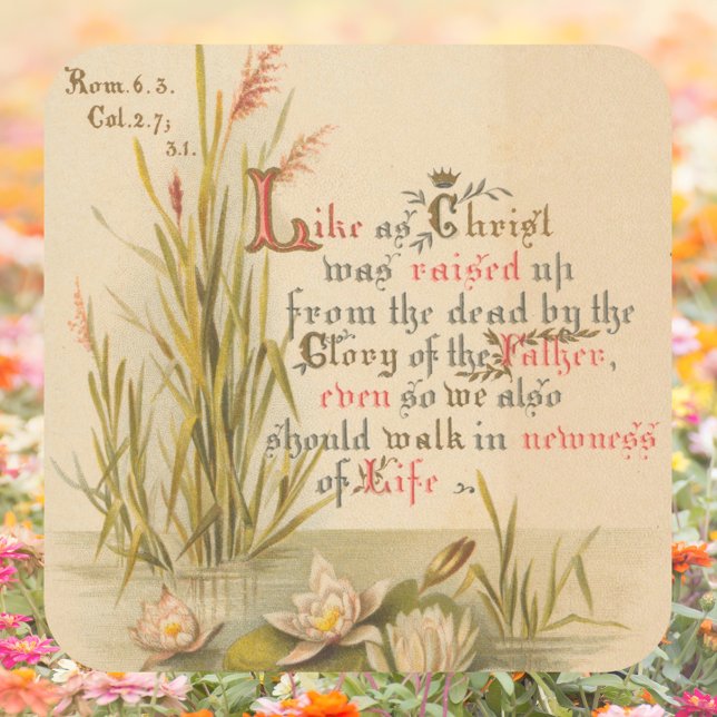 Adesivo Quadrado Bíblia católica cristã é Páscoa risen (Religious Christian Catholic Bible Verse Resurrection Jesus Christ is Risen Easter Square Sticker)