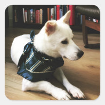 Biblioteca Eno Sticker