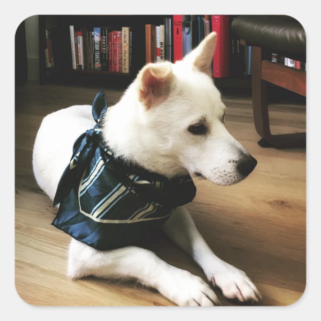 Adesivo Quadrado Biblioteca Eno Sticker (Frente)