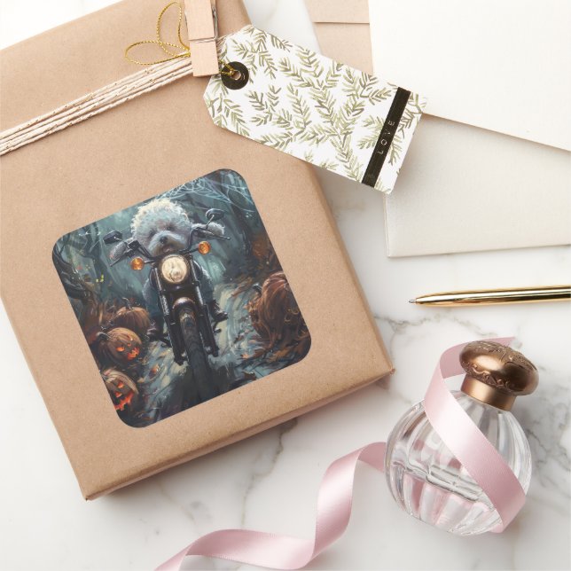 Adesivo Quadrado Bichon Frise Andando Motocicleta Assusta (Presentear)