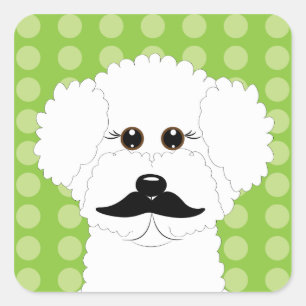 Adesivo Quadrado Bichon Frise com bigode